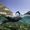 Suunto Ambit3 Sport Blue – GPS-klocka för multisport